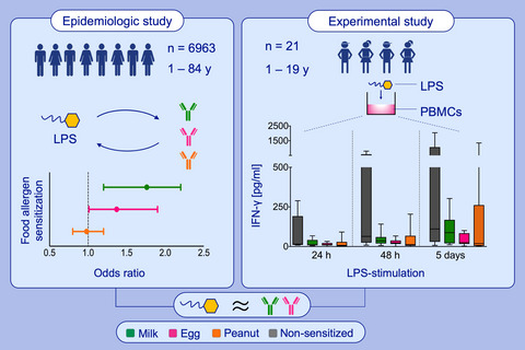 Endotoxin, food allergen sensitization, and food allergy: A complementary epidemiologic and experimental study