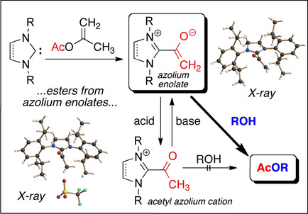 Acyl Donor Intermediates in N-Heterocyclic Carbene Catalysis: Acyl Azolium or Azolium Enolate?