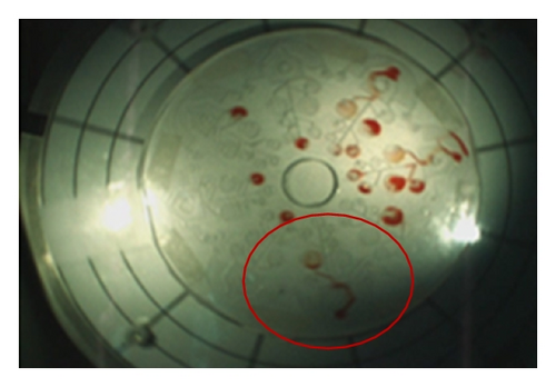 Details are in the caption following the image