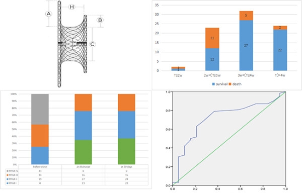 Percutaneous closure of ventricular septal rupture after myocardial infarction: A retrospective study of 81 cases