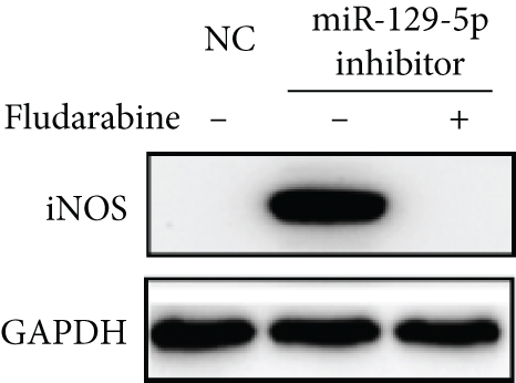 Details are in the caption following the image
