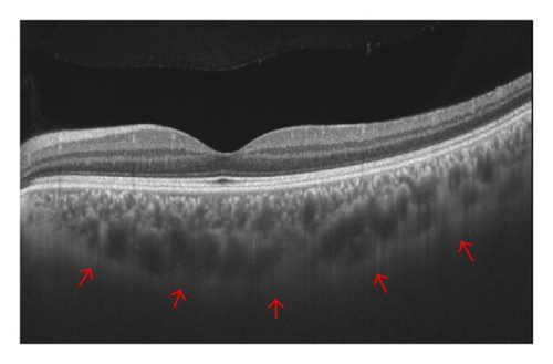 Details are in the caption following the image Details are in the caption following the image