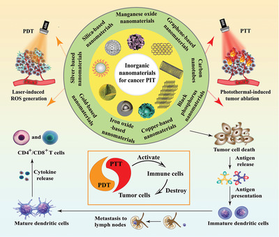Multifunctional inorganic nanomaterials for cancer photoimmunotherapy
