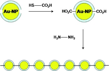 Metal Nanoparticles: From “Artificial Atoms” to “Artificial Molecules”