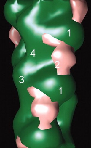 Details are in the caption following the image