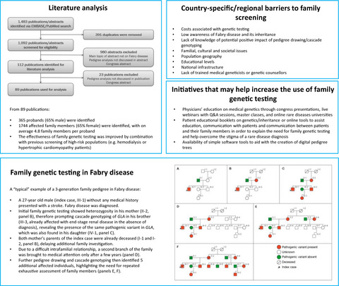The benefits and challenges of family genetic testing in rare genetic diseases—lessons from Fabry disease