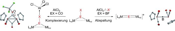 Coordination and Activation of the BF Molecule