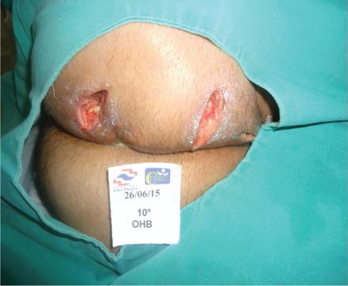 Details are in the caption following the image Details are in the caption following the image