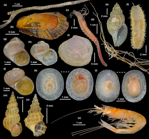 Details are in the caption following the image
