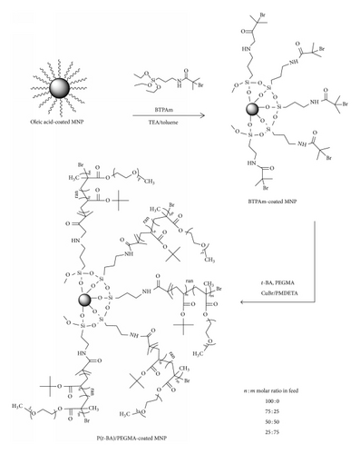 Details are in the caption following the image