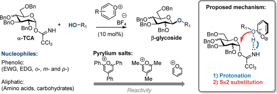 Stereoselective O-Glycosylations by Pyrylium Salt Organocatalysis**