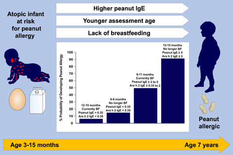 Clinical factors associated with peanut allergy in a high-risk infant cohort
