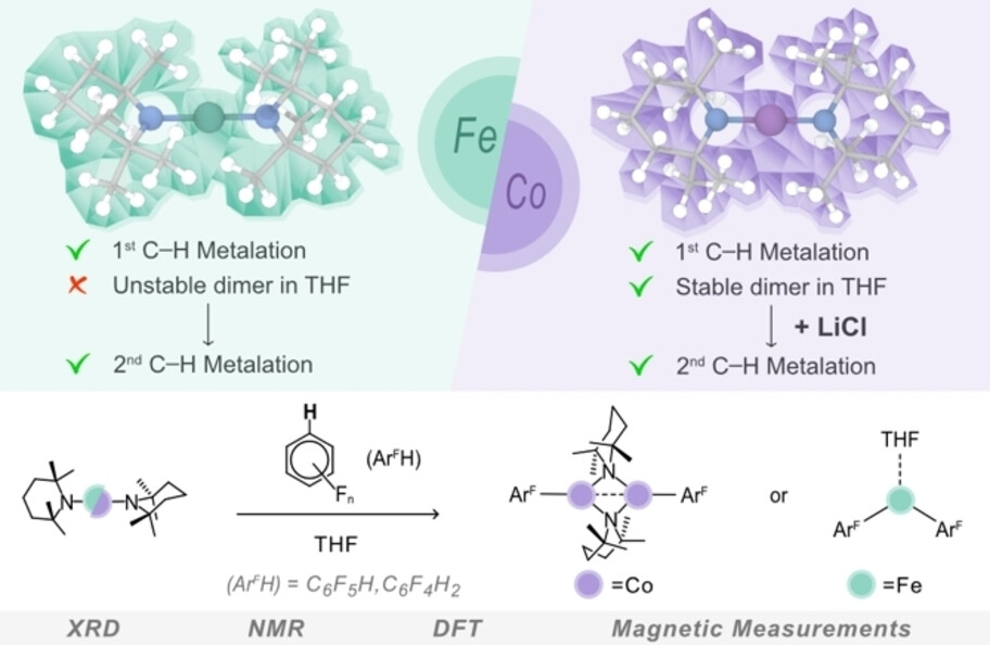 Unlocking the Metalation Applications of TMP-powered Fe and Co(II) bis(amides): Synthesis, Structure and Mechanistic Insights