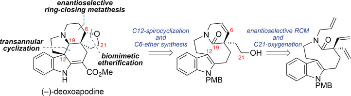 Enantioselective Total Synthesis of (−)-Deoxoapodine