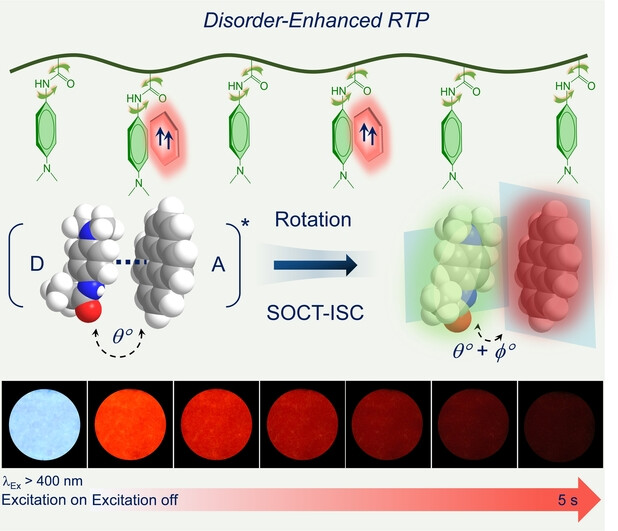 Disorder-Enhanced Charge-Transfer-Mediated Room-Temperature Phosphorescence in Polymer Media