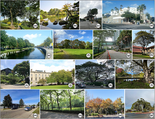 Details are in the caption following the image Details are in the caption following the image