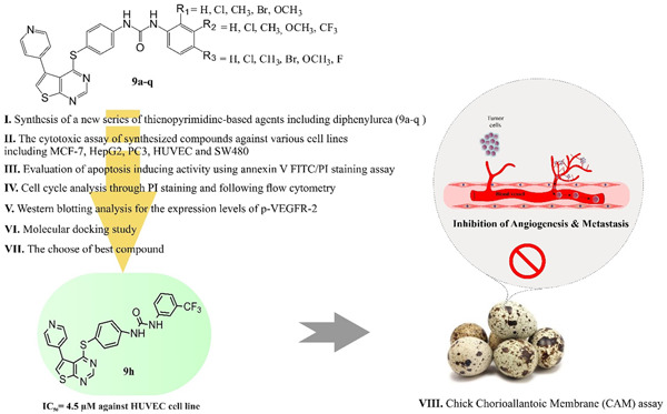 Thienopyrimidine-based agents bearing diphenylurea: Design, synthesis, and evaluation of antiproliferative and antiangiogenic activity