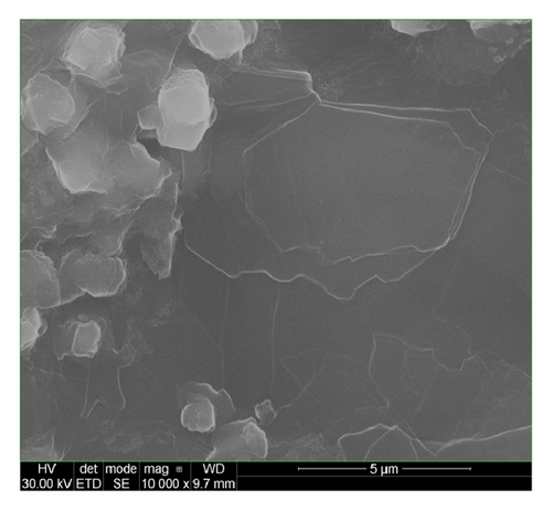Details are in the caption following the image