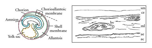 Details are in the caption following the image