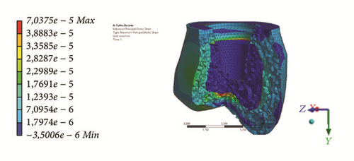 Details are in the caption following the image Details are in the caption following the image