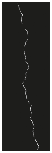 Details are in the caption following the image