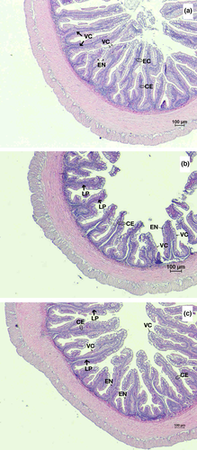 Details are in the caption following the image Details are in the caption following the image