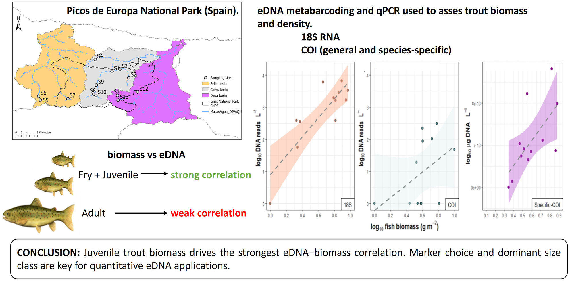 Metabarcoding Versus Species-Specific Primers to Estimate Salmo trutta Biomass and Density in Mountain Streams