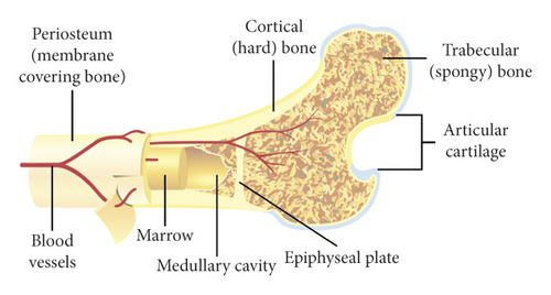 Details are in the caption following the image