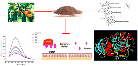 Persimmon highly galloylated-tannins in vitro mitigated α-amylase and α-glucosidase via statically binding with their catalytic-closed sides and altering their secondary structure elements