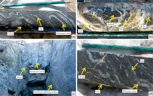 Details are in the caption following the image Details are in the caption following the image