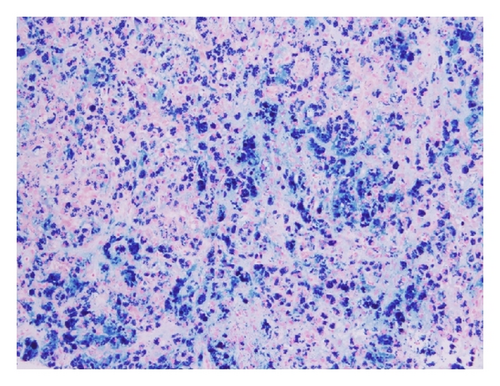 Details are in the caption following the image Details are in the caption following the image