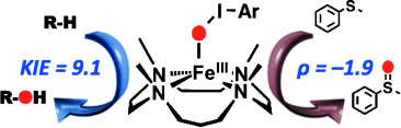 Highly Reactive Nonheme Iron(III) Iodosylarene Complexes in Alkane Hydroxylation and Sulfoxidation Reactions
