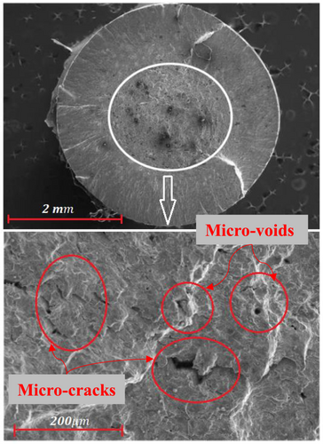 Details are in the caption following the image Details are in the caption following the image