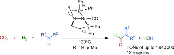Highly Efficient Ruthenium-Catalyzed N-Formylation of Amines with H2 and CO2