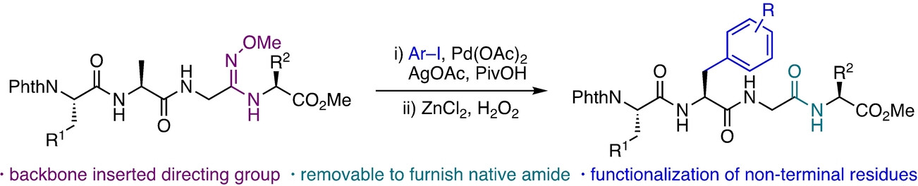 Late-Stage Pd(II)-Catalyzed C(sp3)−H Functionalization of Peptides Directed by a Removable, Backbone-Inserted Amidoxime Ether