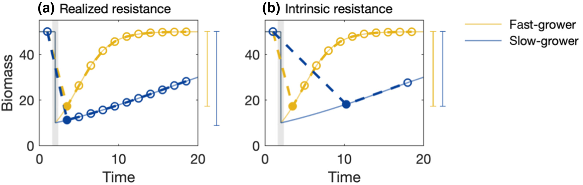 Accounting for effects of growth rate when measuring ecological stability in response to pulse perturbations