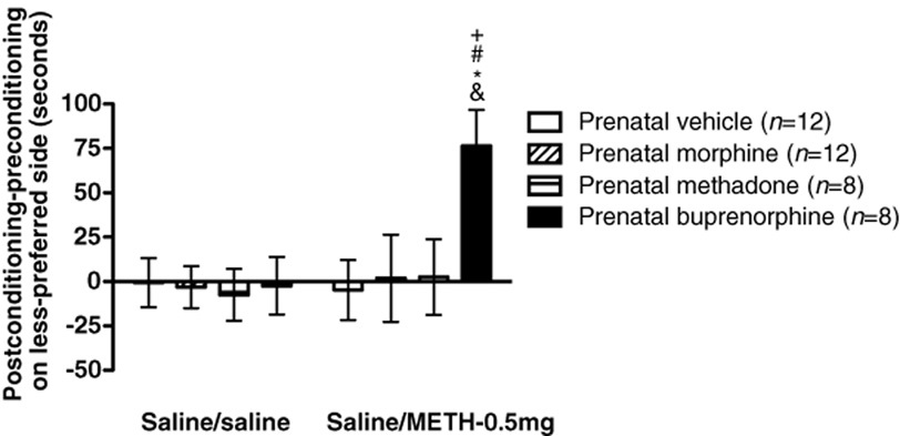 Development of sensitization to methamphetamine in offspring prenatally exposed to morphine, methadone and buprenorphine