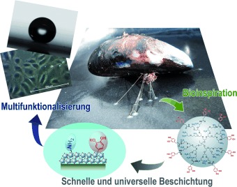 Muschel-inspirierte dendritische Polymere als universelle multifunktionale Beschichtungen