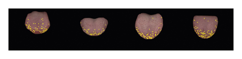 Details are in the caption following the image Details are in the caption following the image