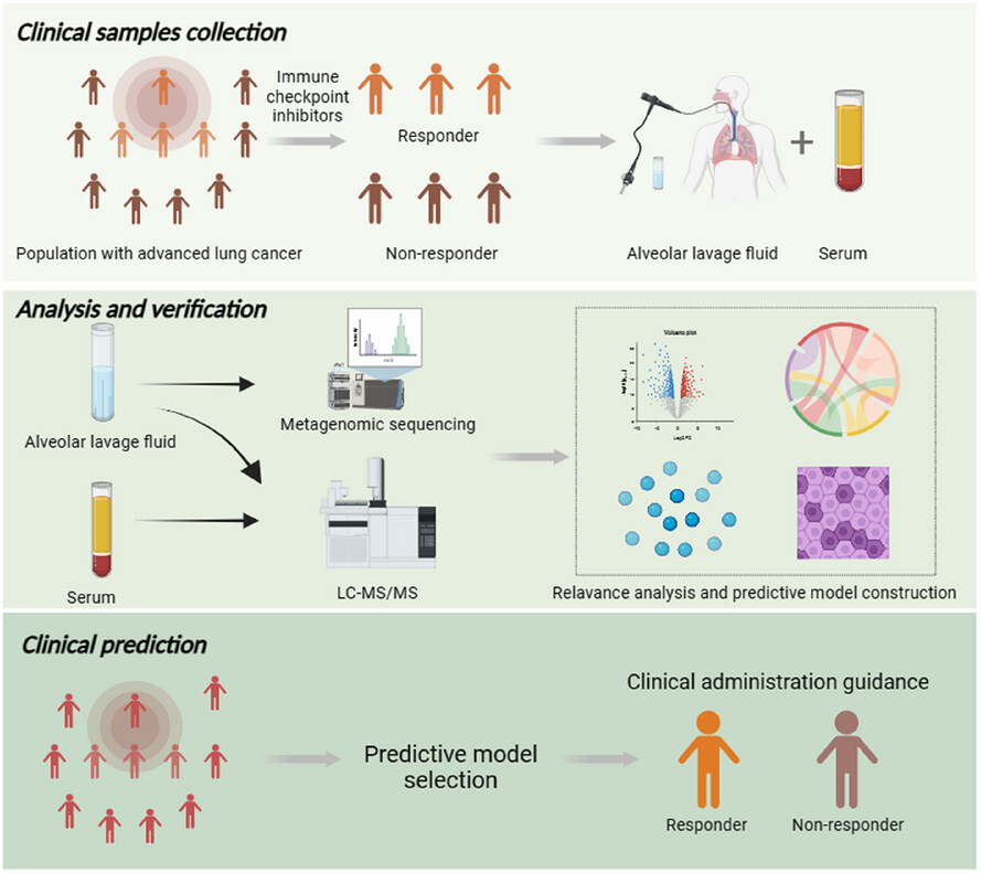 Lower respiratory tract microbiome dysbiosis impairs clinical responses to immune checkpoint blockade in advanced non-small-cell lung cancer