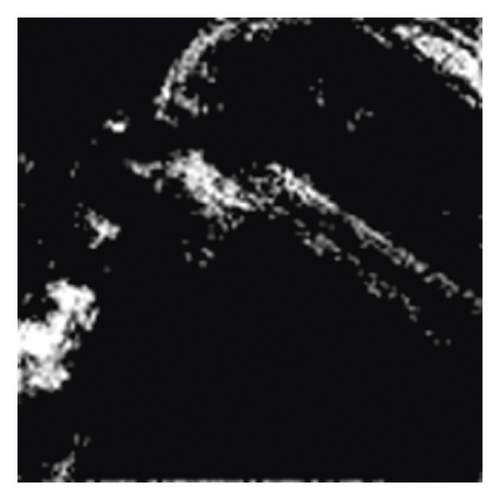 Details are in the caption following the image