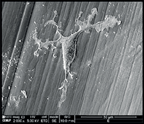 Details are in the caption following the image