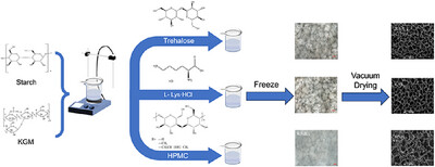 Impact of Antifreeze Protectant Addition on the Pore Structure Formation and Air Filtration-Related Properties of Konjac Glucomannan/Starch Aerogel