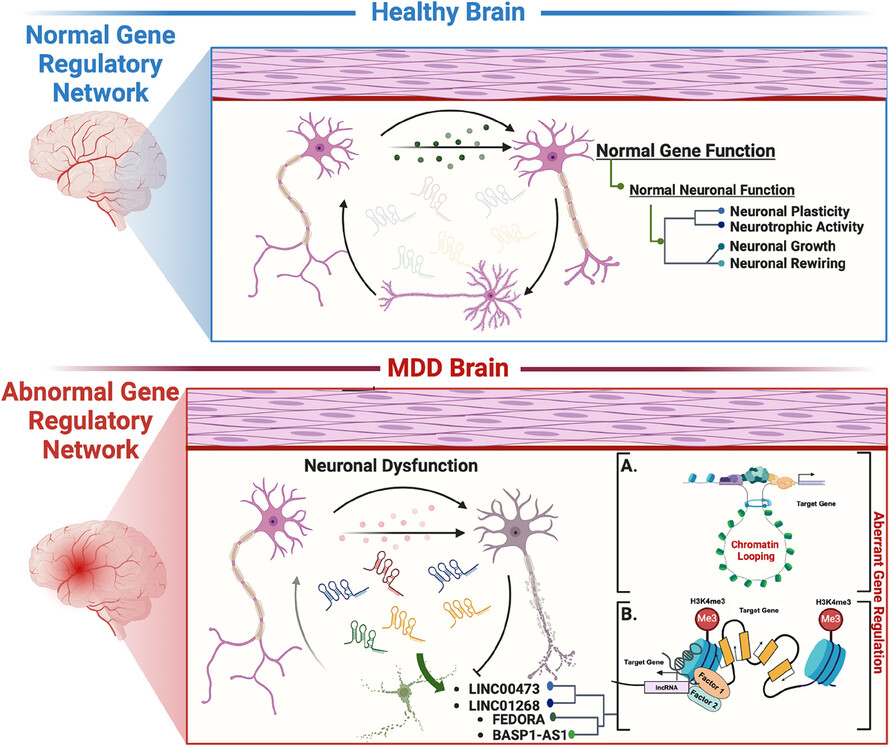 Deciphering the epigenetic role of long non-coding RNAs in mood disorders: Focus on human brain studies