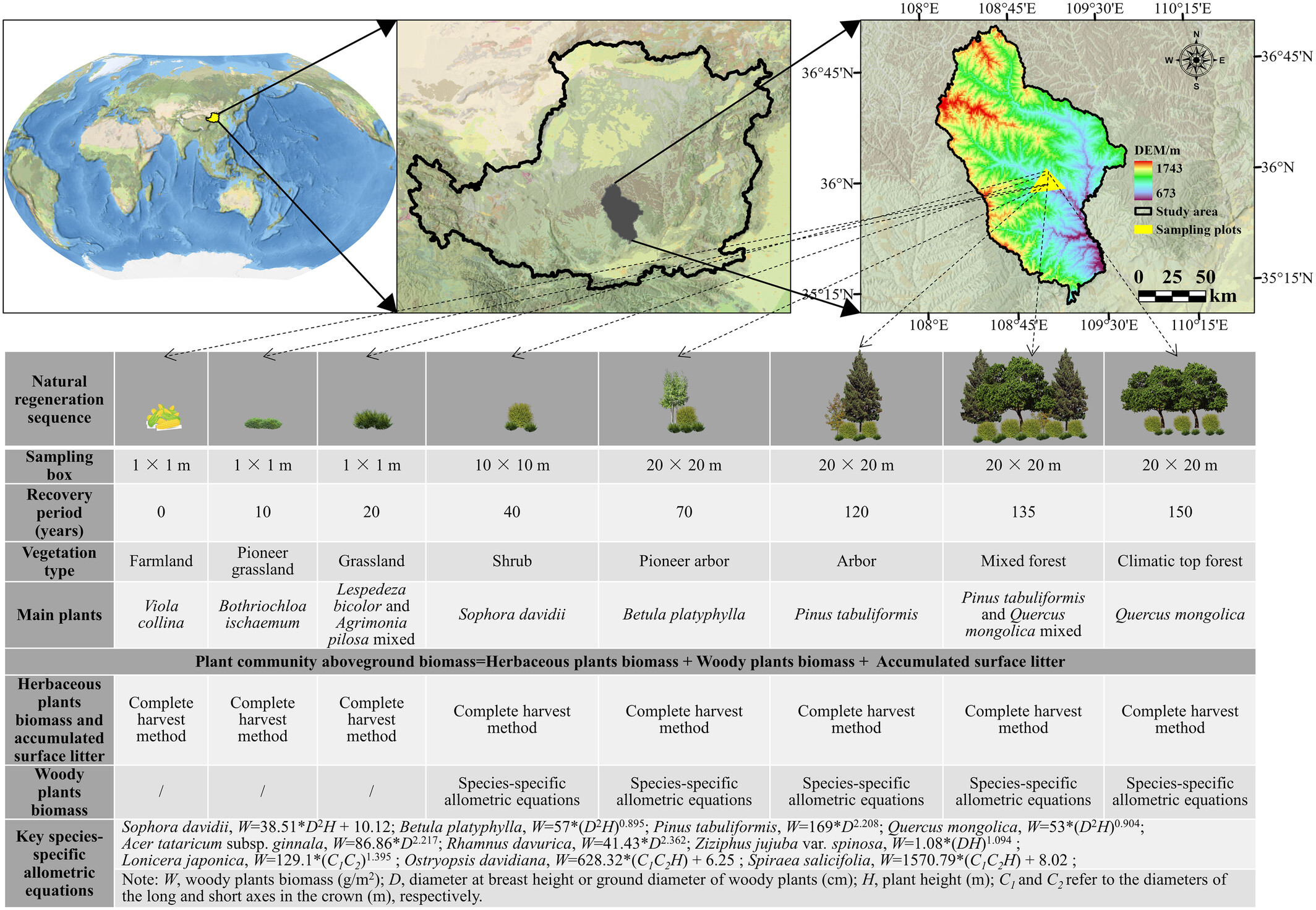 Relationship Between Evolutionary Diversity and Aboveground Biomass During 150 Years of Natural Vegetation Regeneration in Temperate China