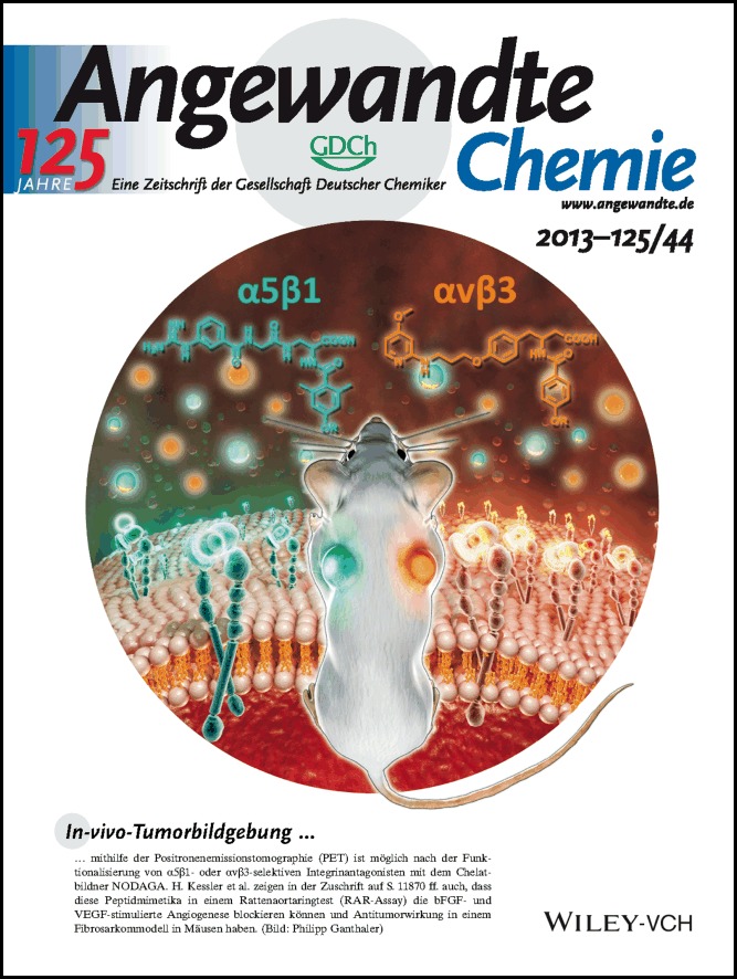 Rücktitelbild: Selektive Bildgebung der angiogenetisch relevanten Integrine α5β1 und αvβ3 (Angew. Chem. 44/2013)