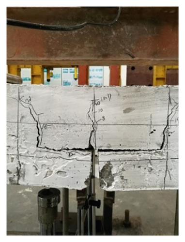 Details are in the caption following the image Details are in the caption following the image