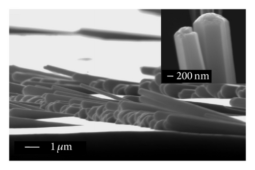 Details are in the caption following the image