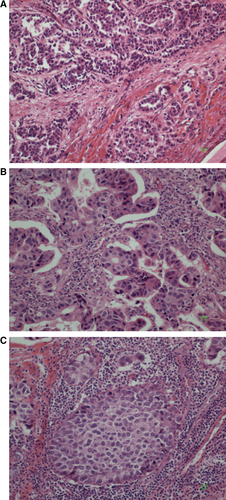 Details are in the caption following the image Details are in the caption following the image
