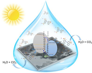 Fabrication of a visible-light-driven p-type NiWO4/n-type SnO2 heterojunction with efficient photocatalytic activity for degradation of Amaranth